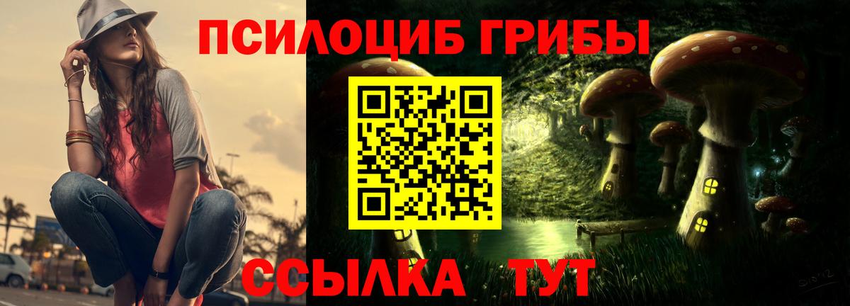 Чехов  Псилоцибиновые грибы Cubensis  Псилоцибиновые грибы Magic Shrooms  Вход с VPN 